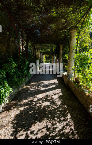 Abbaye de Saint André - Le Jardin de l'IOF, parmi les plus beaux jardins en France, l'abbaye de Saint André les jardins sont composés de roses, d'oliviers et de pins t Banque D'Images