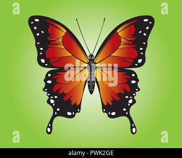 Belle étape adultes lépidoptères Monarch Butterfly art vectoriel envergure ouvert Illustration de Vecteur