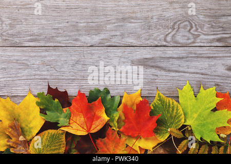 Diverses feuilles d'automne sur une vieille planche de bois avec copie espace Banque D'Images