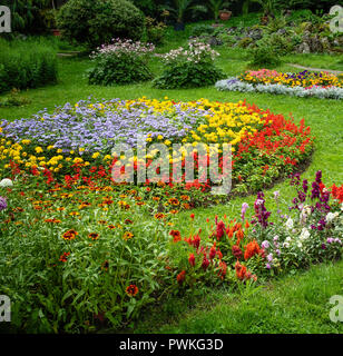 Un jardin plein de fleurs de diverses couleurs et formes Banque D'Images