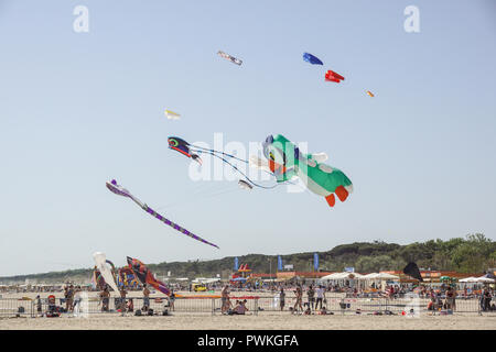 CERVIA, ITALIE - 1 mai : ciel plein de cerfs-volants pour l'International du cerf-volant le 1 mai 2010 à Cervia, en Italie. Ce festival rassemble des cerfs-volistes du monde entier chaque année depuis 1981. Banque D'Images