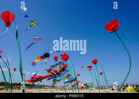 CERVIA, ITALIE - 1 mai : ciel plein de cerfs-volants pour l'International du cerf-volant le 1 mai 2010 à Cervia, en Italie. Ce festival rassemble des cerfs-volistes du monde entier chaque année depuis 1981. Banque D'Images