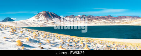 "Laguna Miscanti Miscanti" (Lagoon) et "Cerro Miscanti Miscanti" (Hill) dans l'Altiplano (haut plateau andin) à une altitude de 4350m, Los Flamencos Banque D'Images