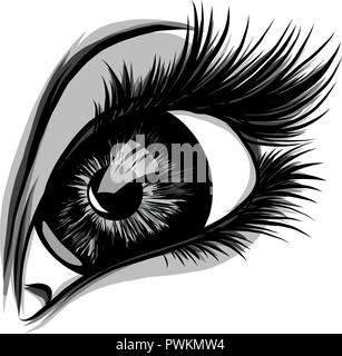 Œil sur fond blanc. Woman eye. Le logo de l'œil. Yeux visage humain art. Illustration de Vecteur