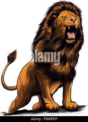 Vector Illustration of angry lion bondissant en arrière-plan blanc Illustration de Vecteur