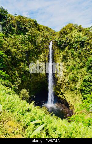 Akaka Falls 'dans 'automne Akaka State Park Hawai'i Banque D'Images