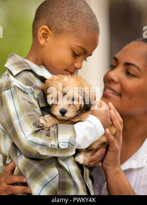 Jeune garçon tenant un chiot. Banque D'Images