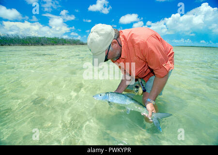 Scène de pêche de mouche d'eau pour le bonefish, tarpon, roosterfish, mahi-mahi, thon, maquereau, et permis. Banque D'Images