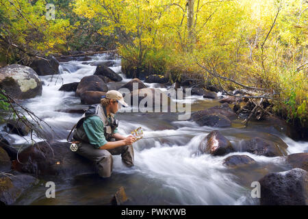 Pêche à la mouche en eau douce pour la truite et le saumon. Banque D'Images