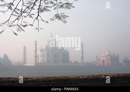 Taj Mahal la merveille du monde et la fierté de l'Inde en hiver doux matin lumière chaude avec haze et encadré de branches d'arbre en premier plan Banque D'Images