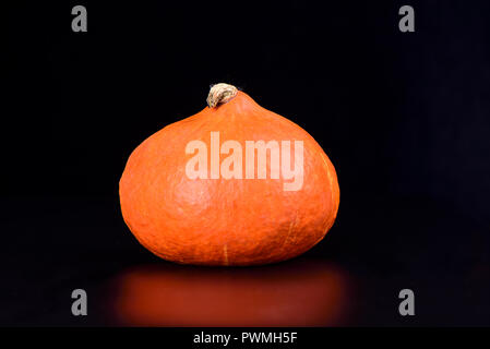 Citrouille d'automne sur un fond noir avec reflet Banque D'Images