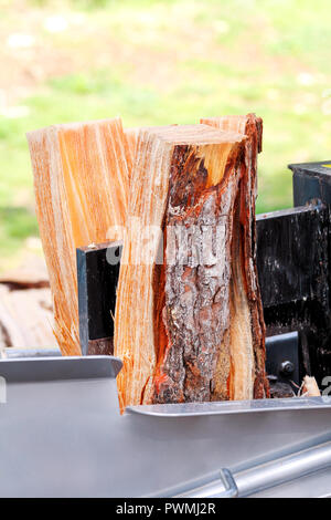 Vu couper du bois pour l'hiver. Bois de la machine moderne a vu la coupe de bois de chauffage et de sciage. L'industrie du bois. La saison de chauffage, saison d'hiver. Banque D'Images