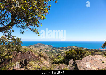 Côte Vermeille, Pyrénées-Orientales, Catalogne, Languedoc-Roussillon, France Banque D'Images