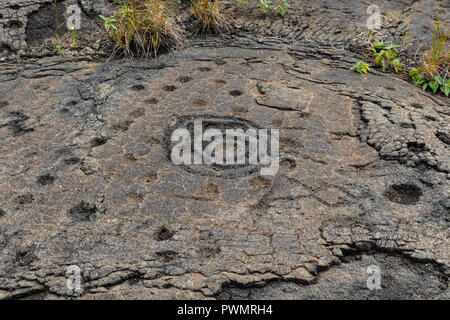 Pétroglyphes à Pu'uloa (Long Hill) le long de la chaîne de cratères road, dans le parc national des volcans sur l'île d'Hawaii. Les dessins sont de 400 à 700 ans Banque D'Images