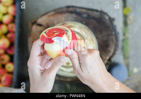 Fabrication de vinaigre de pomme - scène d'en haut la main - peeling apples Banque D'Images