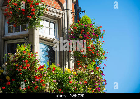 Pots de fleurs colorés accroché à l'extérieur d'un bâtiment en brique de style classique avec ciel bleu Banque D'Images