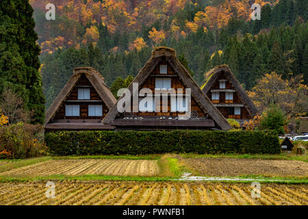 Maisons traditionnelles dans le style Gassho à Ogimachi Village. Site du patrimoine mondial de l'UNESCO dans la préfecture de Gifu - Japon. Banque D'Images