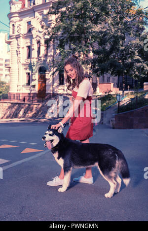 Smiling bon-à la femme de flatter son joli chien husky foncé Banque D'Images