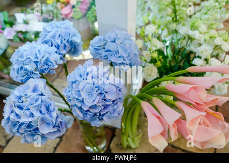 Hortensias bleu et pêche calla Banque D'Images