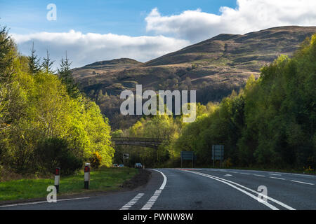 Route menant à travers un livre vert forst avec des collines en arrière-plan. Lumière du soir en Ecosse Banque D'Images