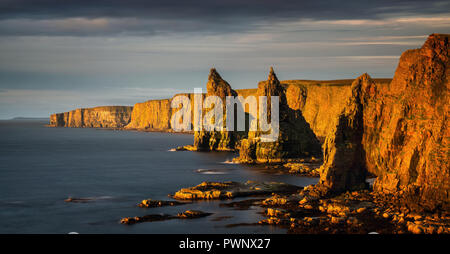 Duncanby Panorama de falaises de la tête dans l'aube, la lumière du nord de l'Écosse Banque D'Images