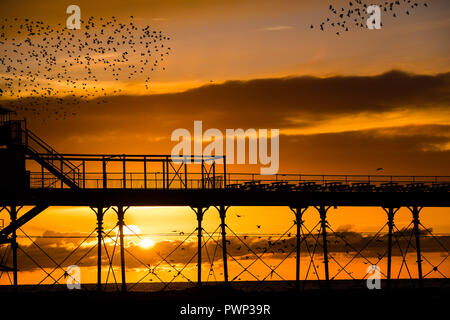 Aberystwyth, Pays de Galles, Royaume-Uni. 17 Oct, 2018. Météo France : le coucher du soleil à Aberystwyth Aberystwyth, Pays de Galles, Royaume-Uni mercredi 17 octobre 2018. Météo France : l'Étourneau se percher sur la jetée au coucher du soleil à Aberystwyth, sur la côte ouest du pays de Galles Crédit photo : Keith morris/Alamy Live News Banque D'Images