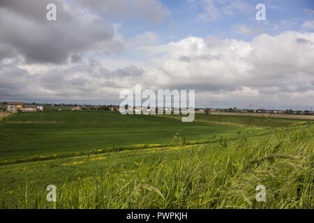 Campagne italienne typique. zone rurale du nord de l'Italie, avec des zones de croissance des florides dans un paysage pittoresque et de l'impact. Banque D'Images