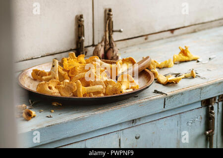 Chanterelles champignons forestiers non cuites brutes dans poêle à bois blanc bleu table de cuisine. De style rustique, la lumière du jour, copy space Banque D'Images