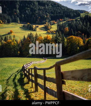 L'herbe verte prairie avec clôture en bois sur les collines des Alpes en Italie. Paysage d'automne Banque D'Images