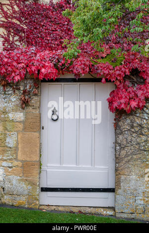 Du Parthenocissus tricuspidata. Boston ivy / réducteur japonais sur un mur de jardin à Broadway, Cotswolds, Worcestershire, Angleterre. Banque D'Images