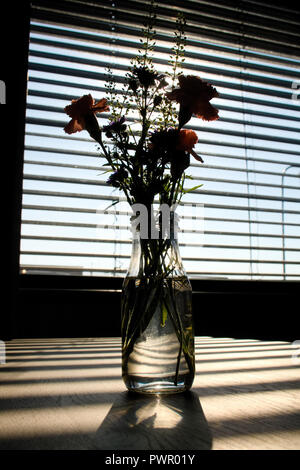 L'accent doucement de fleurs dans vase en verre plein d'eau sur la table vide en bois avec des ombres sur la table horizontale et superbe soleil venant d'un w Banque D'Images