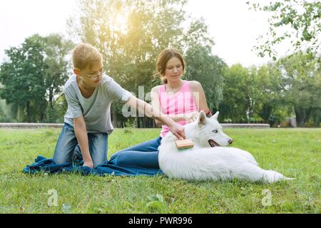 Les enfants est peignant sa chien avec une brosse spéciale. En prenant soin d'un animal Banque D'Images