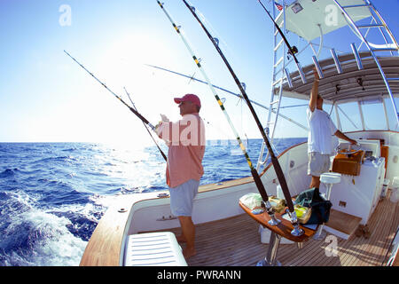 La pêche en haute mer au large de Key West, Floride, USA Banque D'Images