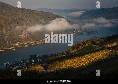 Misty le lever du soleil sur la vallée du Rhin en automne Banque D'Images