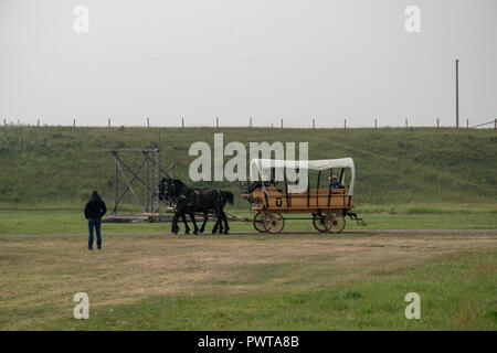 Une équipe de chevaux percherons faites glisser un chariot couvert au ranch Bar U, Lieu historique national du Canada, Parcs Canada, Longview, Alberta, Canada Banque D'Images