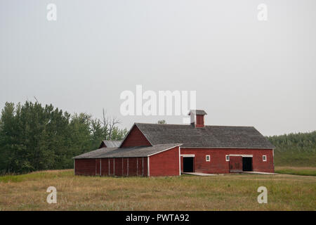 Grange de chevaux (entre 1909 et 1919) au Bar U Ranch, Lieu historique national du Canada, Parcs Canada, Longview, Alberta, Canada Banque D'Images