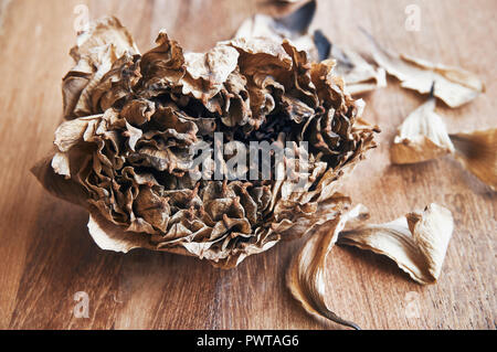 Brown, séchées et de feuilles ou de fleurs de lotus sur fond de bois waterlilly, Close up. Banque D'Images