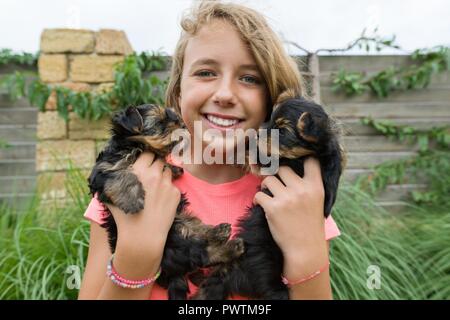 Happy girl holding deux chiots yorkshire terrier sur ses mains, l'été fond nature, vert gazon. Banque D'Images