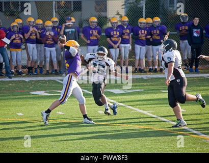 Cretin-Durham Hall High School football quarterback passant comme l'ours blanc se ferme dans la défense de l'école secondaire. St Paul Minnesota MN USA Banque D'Images