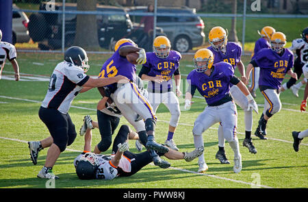 Jeu de football américain Cretin-Durham africaine noire Hall runner abordés par plusieurs ours blanc de l'équipe. St Paul Minnesota MN USA Banque D'Images