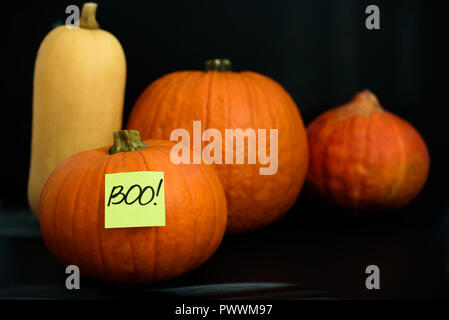 Citrouilles différente avec boo mot sur stick papier Remarque Banque D'Images