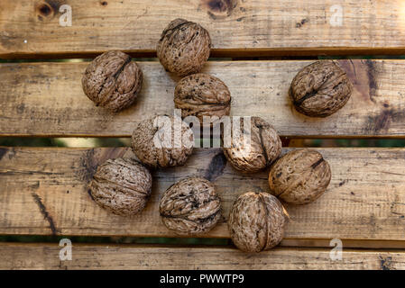 Noix biologiques à partir d'un petit jardin sur une table en bois rustique Banque D'Images