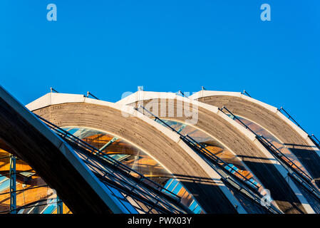 Sheffield, UK- le 31 août 2018 : Sheffield Winter Garden serre urbaine (bois lamellé) Détails de l'architecture d'Arches Banque D'Images