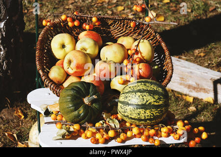 Les pommes biologiques et des citrouilles dans panier rustique à thème de l'automne de la vie toujours en plein air Banque D'Images