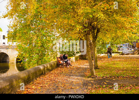 Les feuilles d'automne dans un parc public à côté de la rivière Avon à Bradford on Avon dans le Wiltshire England UK Banque D'Images