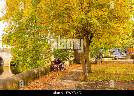 Les feuilles d'automne dans un parc public à côté de la rivière Avon à Bradford on Avon dans le Wiltshire England UK Banque D'Images