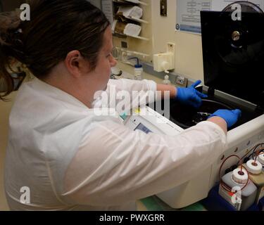 Erin Penney, 88e Escadron de diagnostics et thérapeutiques microbiologie superviseur technique, les lieux se glisse dans l'intérieur de la crépine gramme couleur laboratoire de microbiologie à Wright-Patterson Air Force Base medical center le 30 juin 2017. La coloration de Gram ce processeur est plus efficace que la méthode rudimentaire de la coloration de Gram les bactéries, alors qu'il permet à plusieurs diapositives à teindre en même temps. Banque D'Images