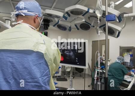 Le Major de l'US Air Force (Dr) Joshua Hamilton, 88e Escadron d'opérations médicales pneumologue, le personnel effectue une échographie endobronchique, aspirer à l'aiguille fine d'échantillonnage procédure sur un patient dans une salle d'opération, tandis que Pamela Baker, 88 Diagnostics et thérapies de cytologie de l'Escadron, technicien taches chimiquement l'échantillon de tissu du patient à une diapositive pour le Major (Dr.) Luisa Watts, 88 pathologiste DTS pour effectuer l'analyse microscopique à l'intérieur de la salle d'opération à Wright-Patterson Air Force Base Medical Center, le 26 juin 2017. Watts examine l'échantillon de tissu sous le microscope pour faire un diagnostic de Banque D'Images