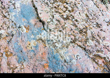 Surface macro, la beauté de l'Invisible Résumé Textures & Fonds, Athènes, Grèce Banque D'Images