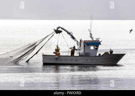 Barcos de pesca de cerco Banque D'Images